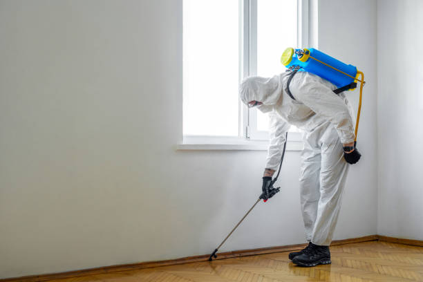 Best Residential Pest Control  in Galena, IL