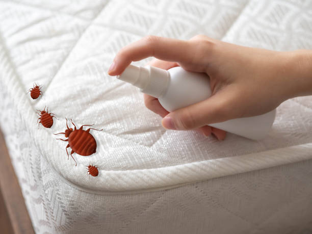 Best Pest Prevention Services  in Galena, IL