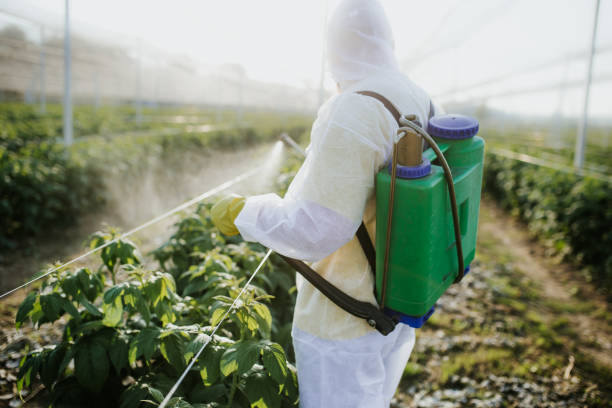 Best Mosquito Control Services  in Galena, IL